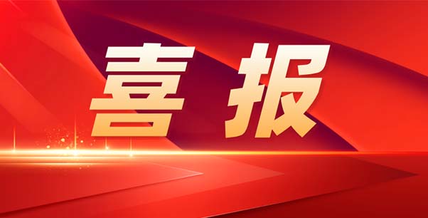喜報(bào)！熱烈祝賀我司榮獲江蘇省“專精特新”企業(yè)稱號(hào)